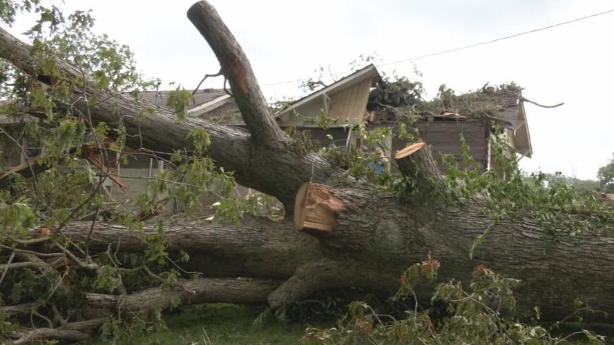 Salem storm clean up (7).jpeg