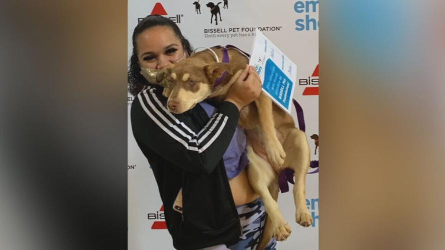 Pet adopted during Kentucky Humane Society's Empty the Shelter event
