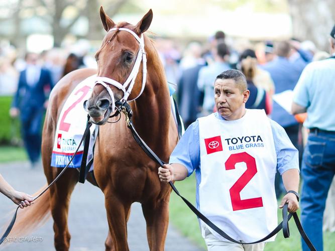 Vekoma Blue Grass Stakes