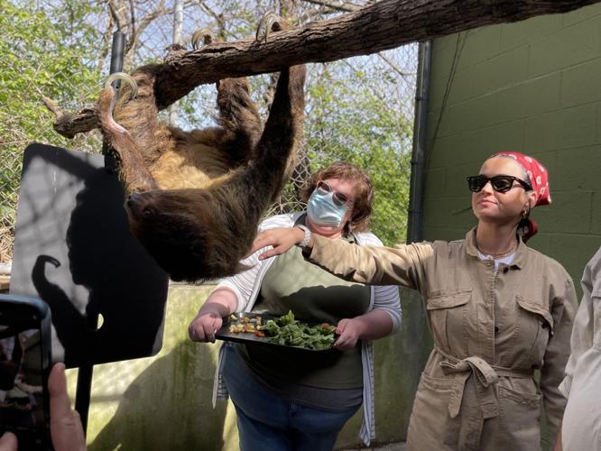 Katy Perry with Sloth