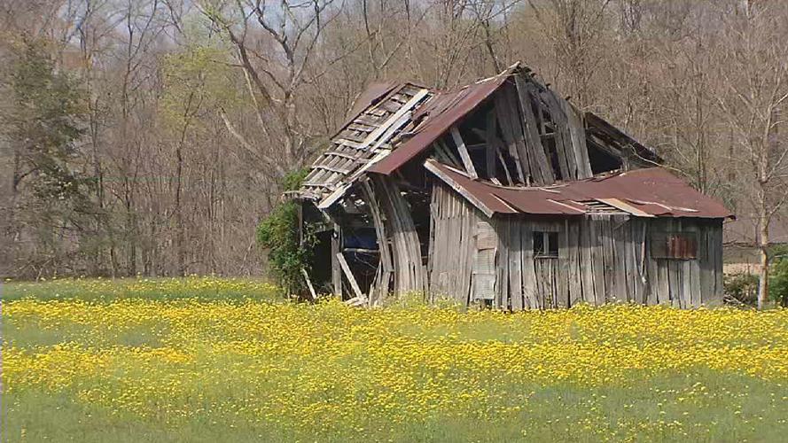 SPRING IN KENTUCKIANA (12).jpg