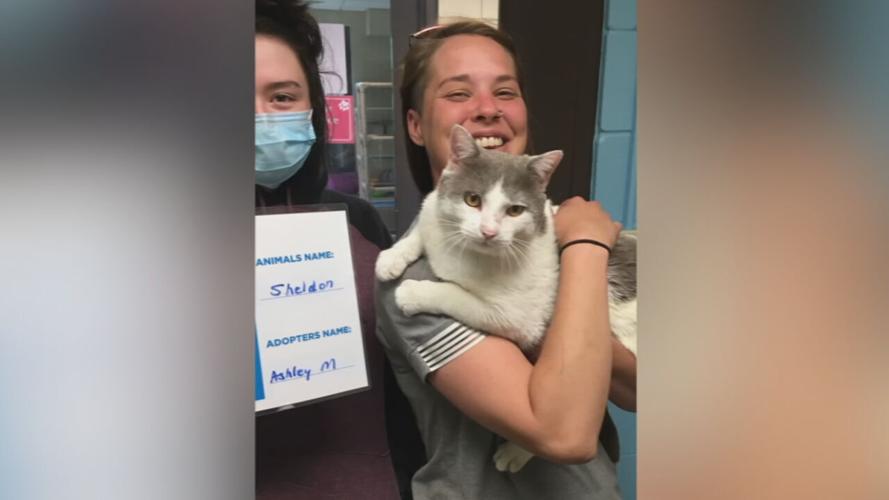 Pet adopted during Kentucky Humane Society's Empty the Shelter event