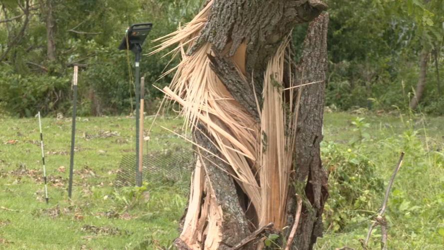 Salem storm clean up (6).jpeg