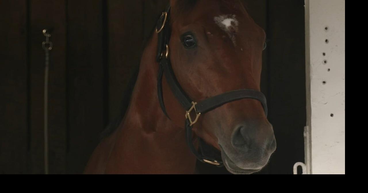 Favorite Renegade draws No. 1 post for Kentucky Derby. Now we see what he's made of