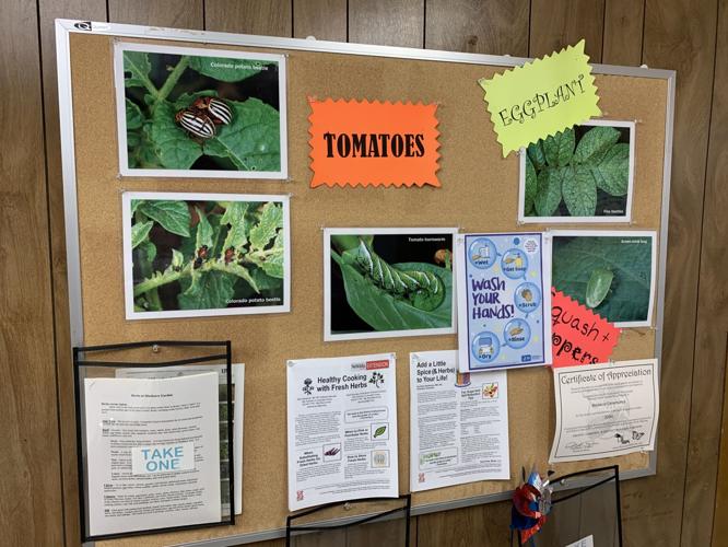 BLACKACRE COMMUNITY GARDEN - VEGETABLES - PLANTS - KEITH KAISER - 6-23-2020   (8).jpeg