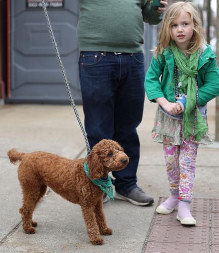 Girl with dog at parade