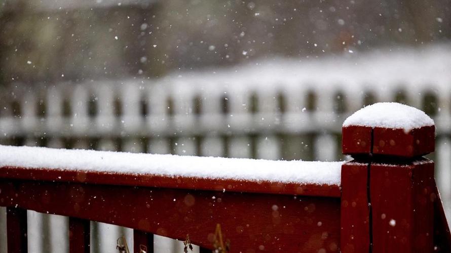 Photos of snow accumulation on Nov. 12, 2022.
