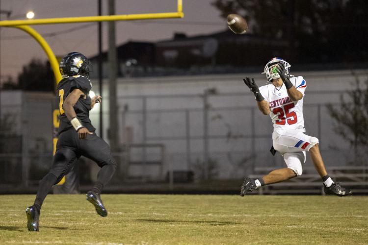 Shchuka_20241018_CAL_Central_142.jpg
