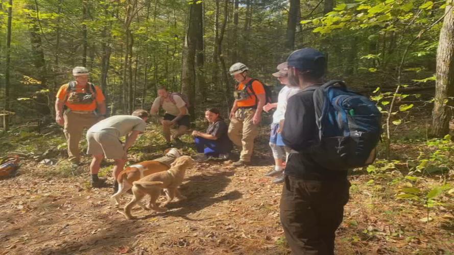DOG FALLS OFF OF CLIFF.jpeg