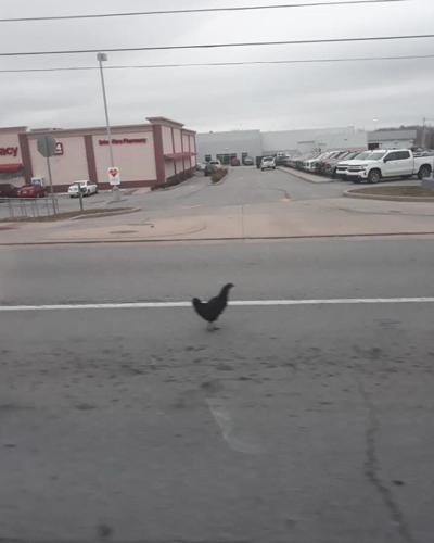 Etown Police Department Chicken 12-28-19.jpg
