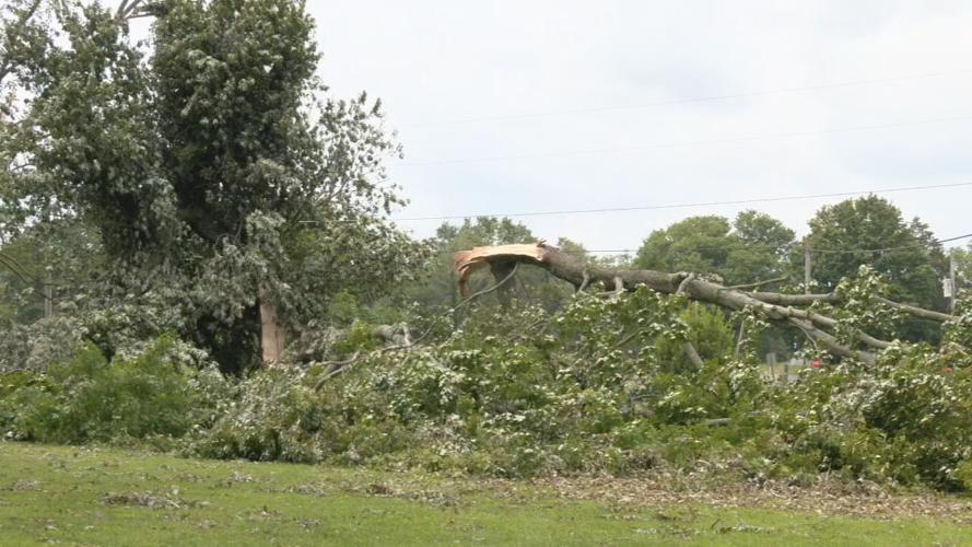 Salem storm clean up (4).jpeg