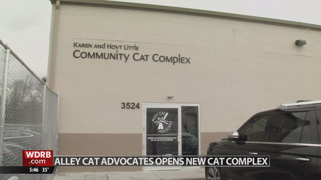 Alley Cat Advocates Moves Into New Complex Takes Critical Next