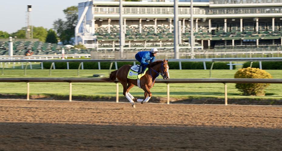DERBY - HORSE - KING FURY -  TUESDAY 4-29-2021 2.JPG