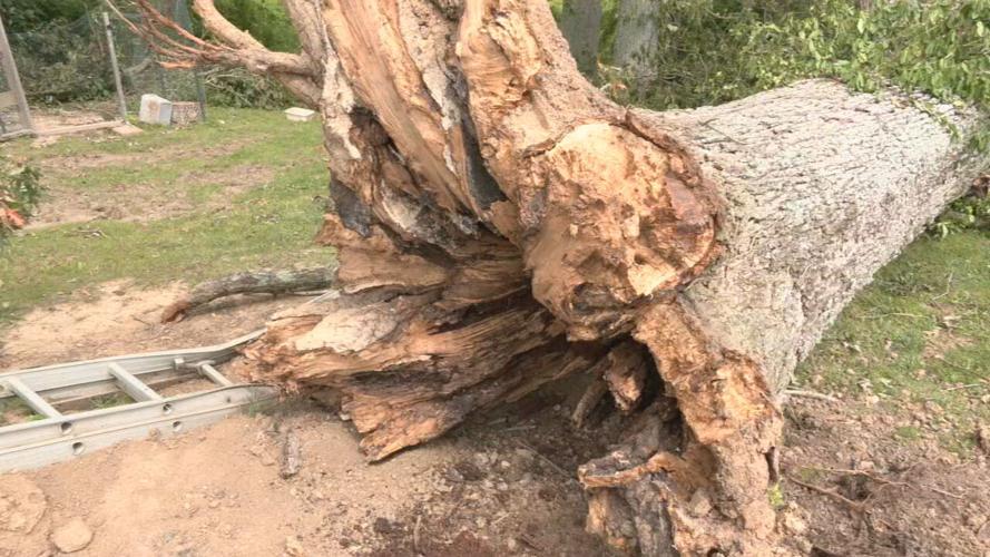 Salem storm clean up (3).jpeg