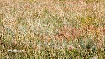 MODERATE DROUGHT: How Much It Has Expanded, Plus If There's Any Help Coming