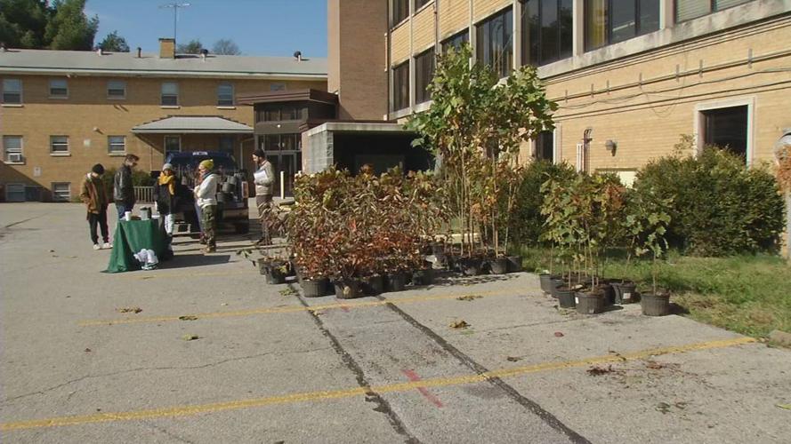 TREE GIVEAWAY 11-9-19 (2).jpg