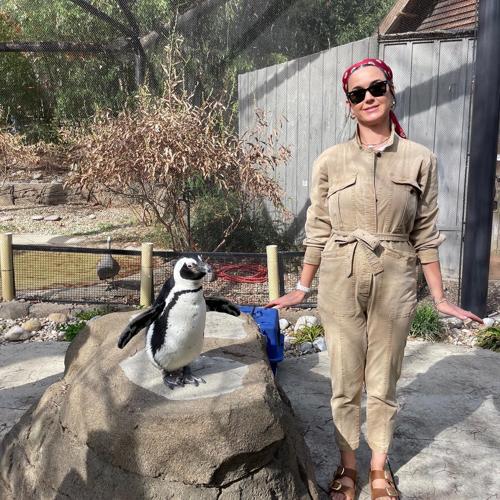 Perry with Penguins