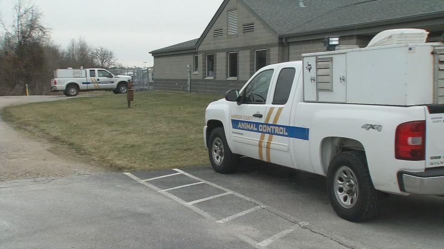 Harrison County animal shelter