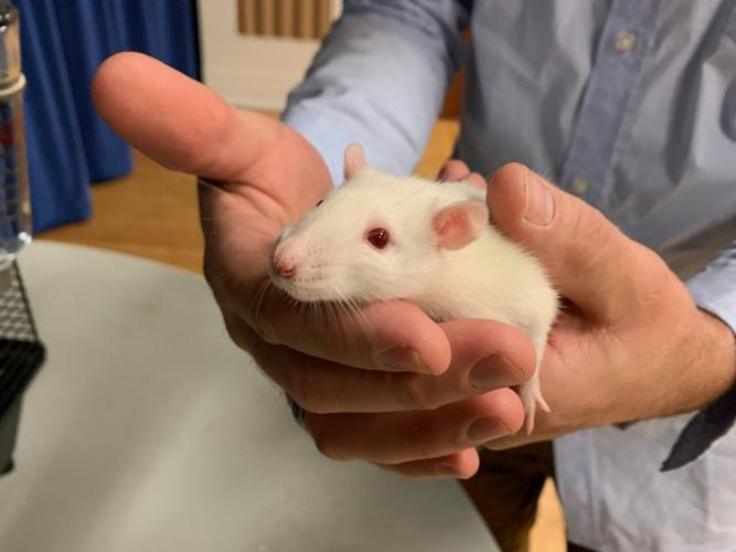 Rat Race at Spalding University - KK - 4.13.23