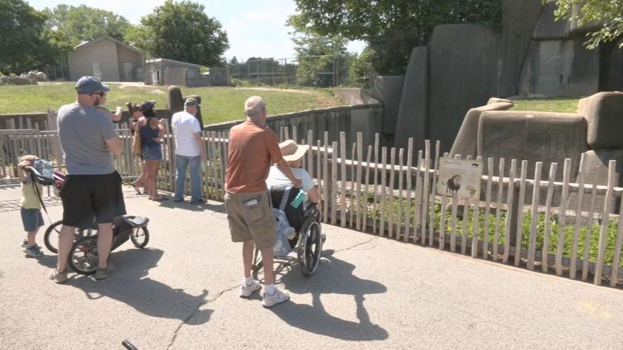zoo reopening