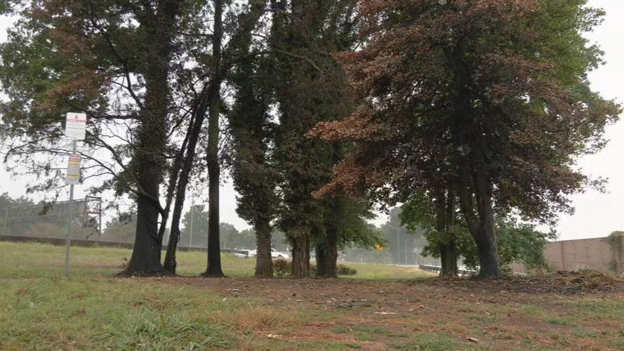 City workers clear homeless camp located off I-264 and Southern Parkway