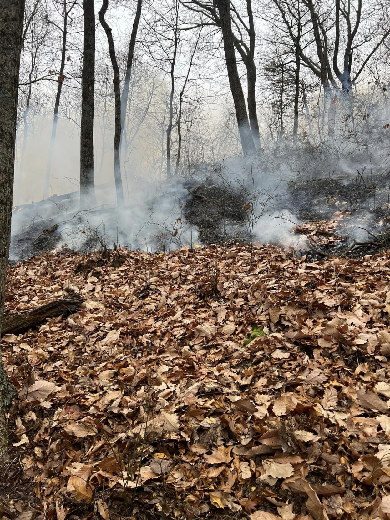 Brush fire in Borden, Indiana. Image from Tri-Township Fire and Rescue.