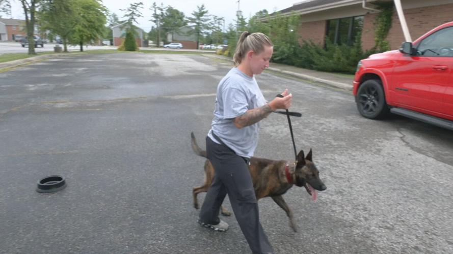 New Clarksville K9 officer (1).jpeg