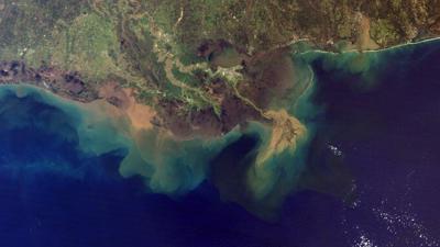 OCEAN ACIDIFICATION: How River Runoff Is A Crucial Factor For Slowing The Pace...