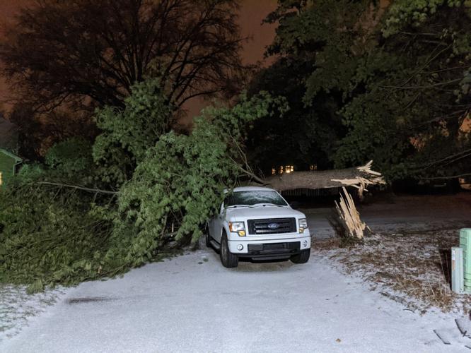 Ice Storm - Tree Down in St. Matthews.jpg