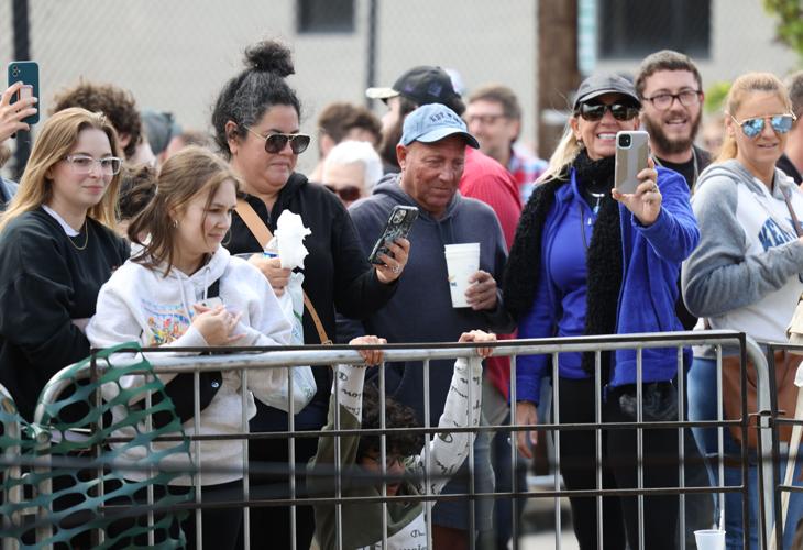 People look at goats