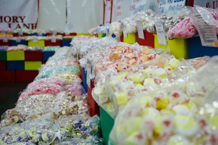 taffy at the fair.jpg