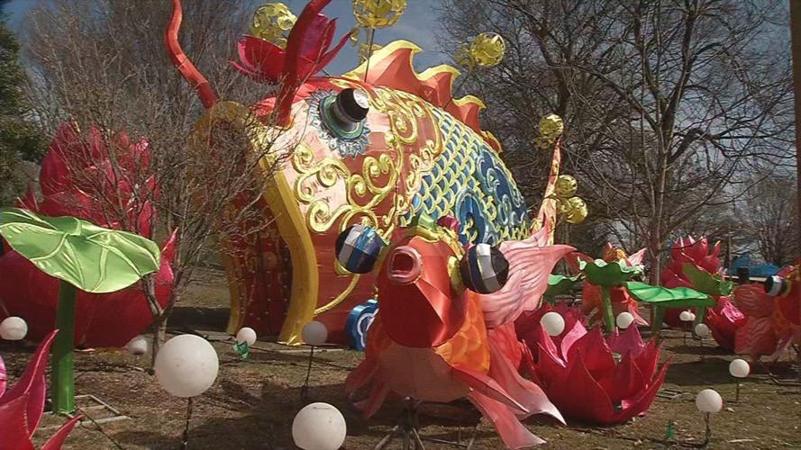 Louisville Zoo Asian lantern festival preps 13.jpg