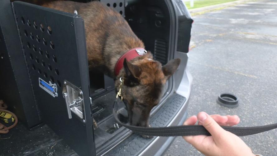 New Clarksville K9 officer.jpeg