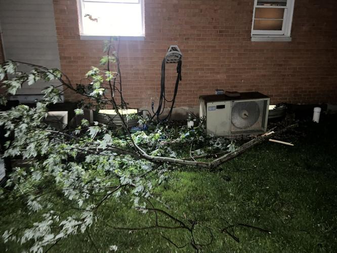Tree limb down from storms 5-16-25 via Bryce Jones