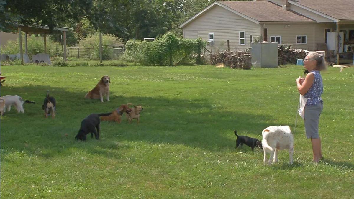 Jackson Countyu0026#39;s first animal shelter delayed as council is asked for more funding | News | wdrb.com