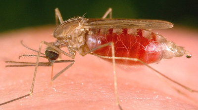 MOSQUITOES FROM SPACE? How NASA Is Trying To Monitor Mosquito-borne Disease...