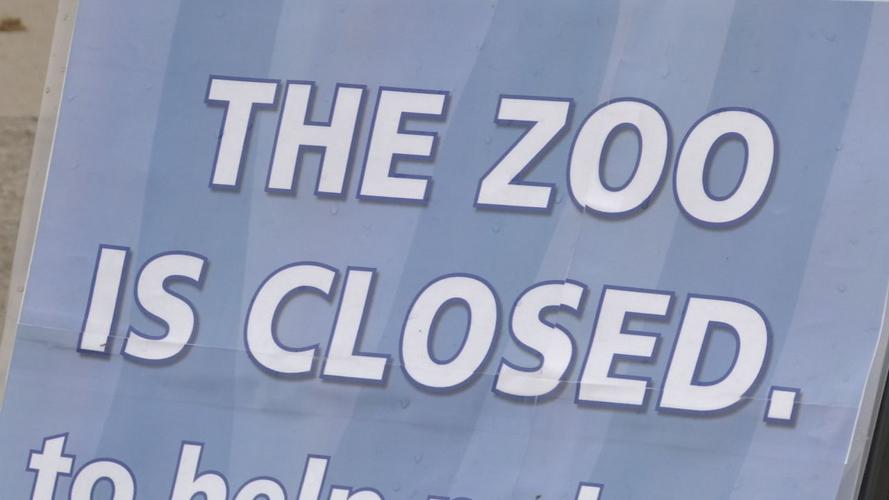 Louisville Zoo remains closed during COVID-19 outbreak