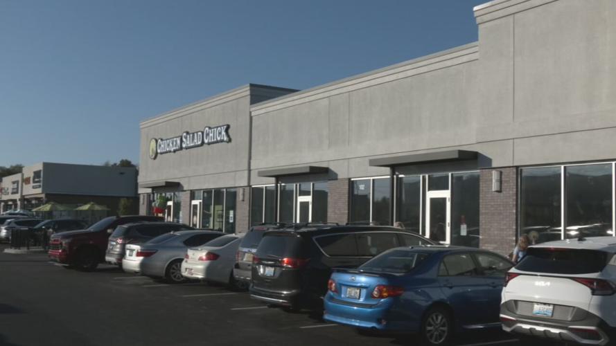 CHICKEN SALAD CHICK FERN CREEK