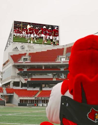 Cardinal bird EA Sports