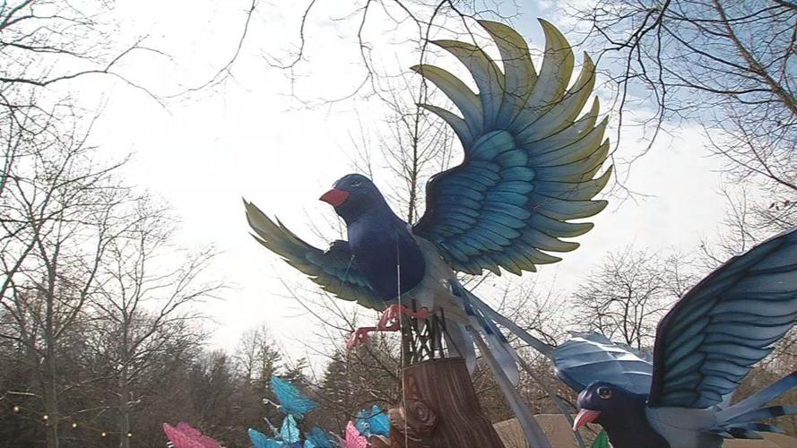 Louisville Zoo Asian lantern festival preps 12.jpg