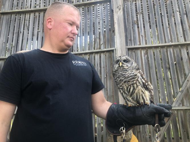 Dave Dicks holds owl at Raptor Rehabilitation