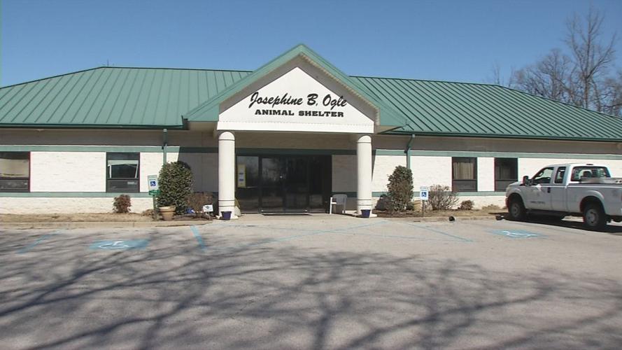 Jeffersonville budgets $2 million for new or renovated animal shelter