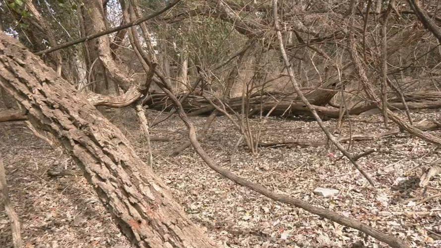 CLARKSVILLE ORIGIN PARK.jpeg