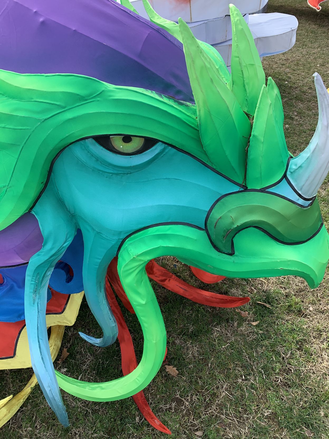 Asian Lantern Festival (dragon 4).jpg