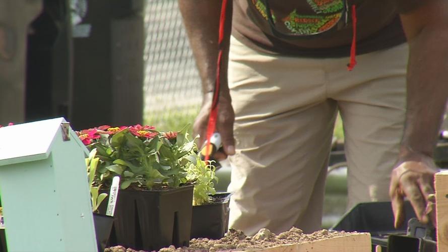 Eastern Star Baptist Church community garden
