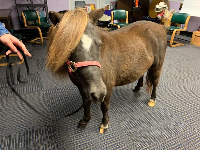 BOYS AND GIRLS HAVEN ANIMAL PROGRAM KK 10-09-20.jpg