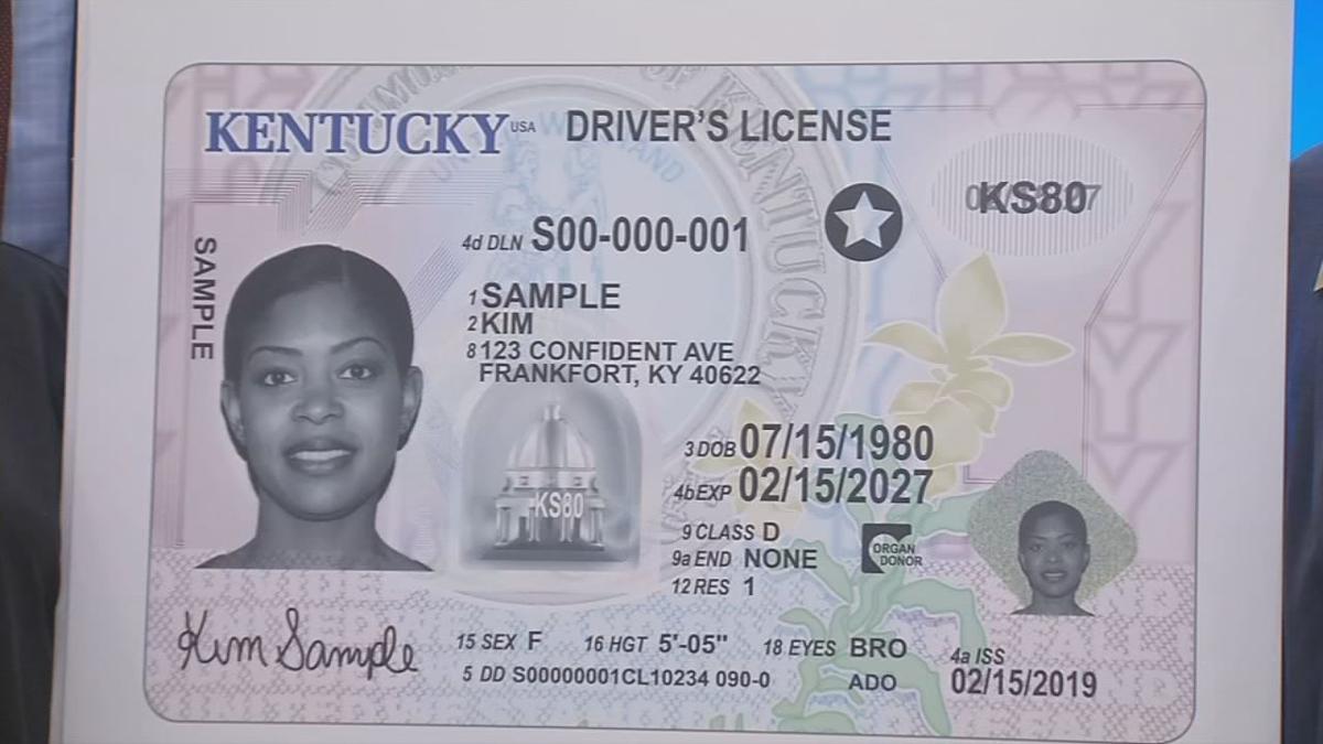 Drivers Licence Bowling Green Ky - Go Green Collections