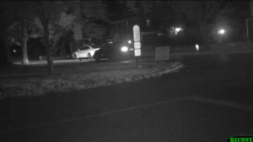 AUDOBON PARK CRIME HIKE.jpeg