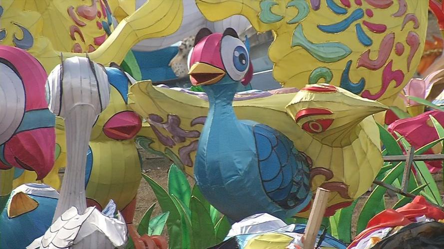 Louisville Zoo Asian lantern festival preps 10.jpg
