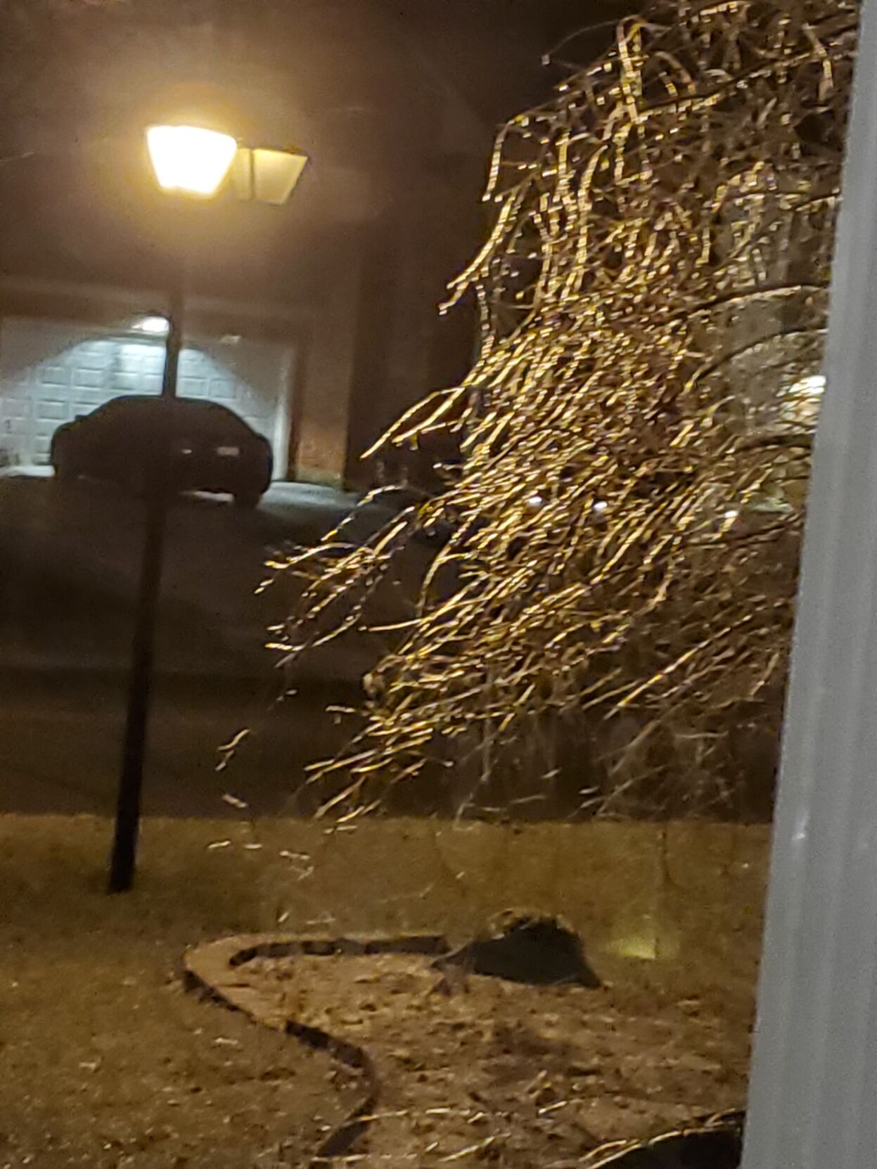 Ice Storm in Highview.jpg